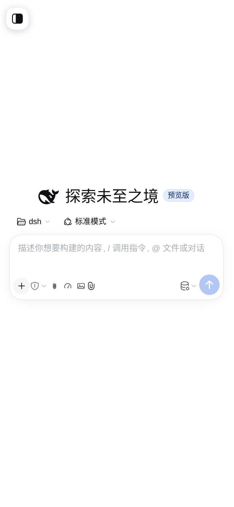DSH 手机端界面